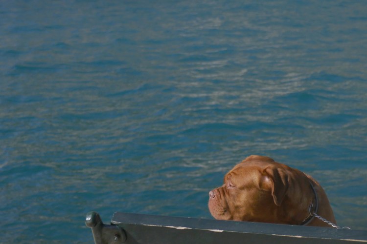 FullSizeRender 4.jpg