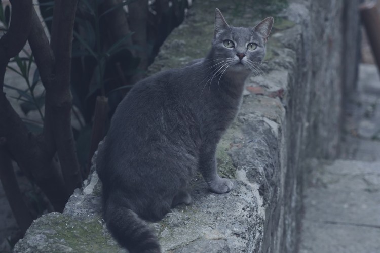 Processed with VSCO with a9 preset