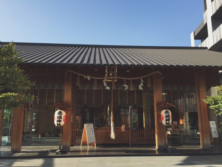 Processed with VSCO with a9 preset