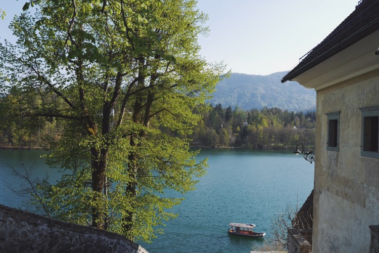 Processed with VSCO with a9 preset