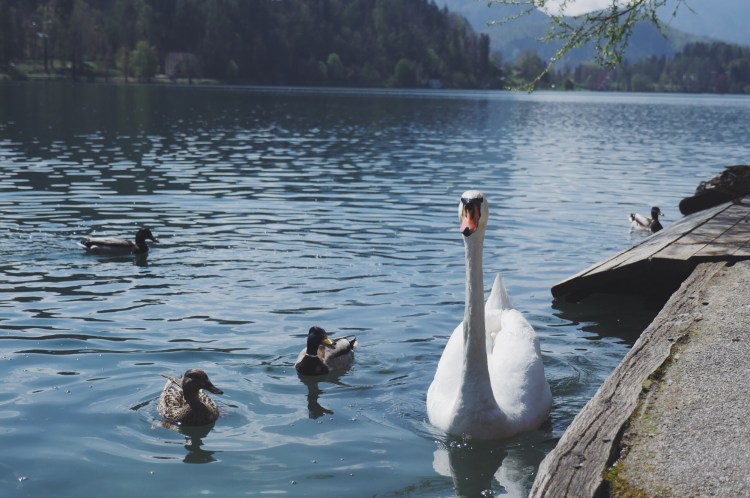 Processed with VSCO with a9 preset