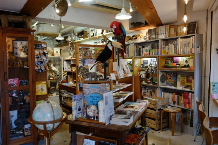 下北澤darwin room_2