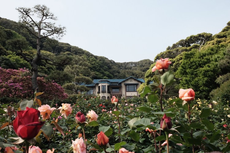 写真 2017-05-12 14 12 22