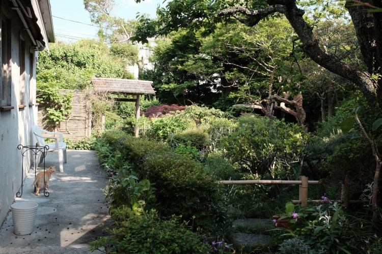 写真 2017-05-18 14 31 16