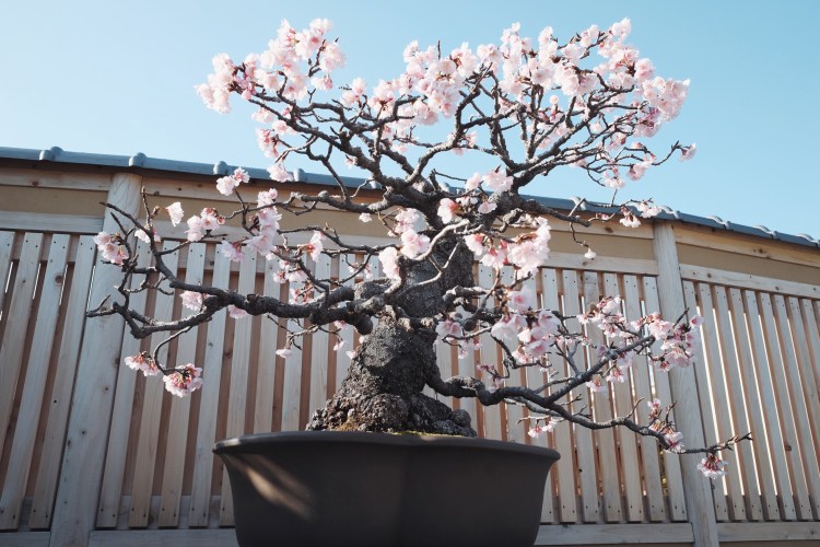 Processed with VSCO with a9 preset