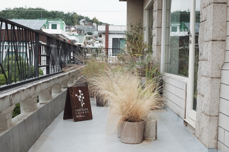 延禧洞CHOCOLATE COSMOS
