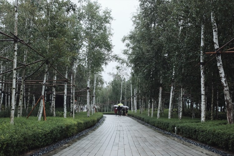 museum san-Flower Garden