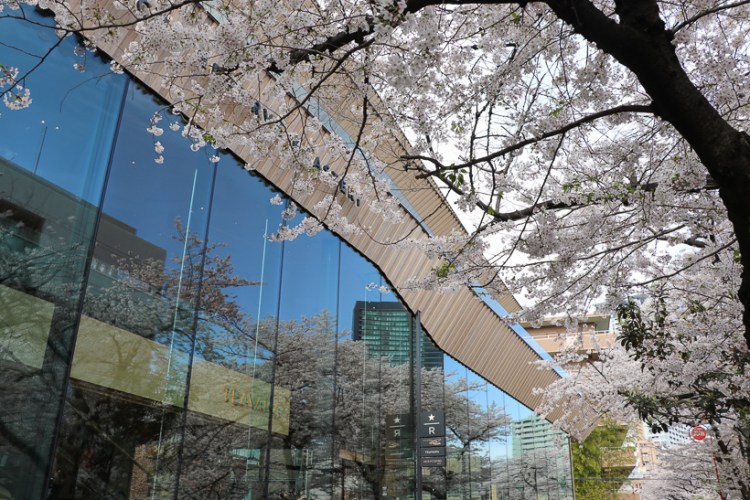 STARBUCKS RESERVE ROASTERY TOKYO-01