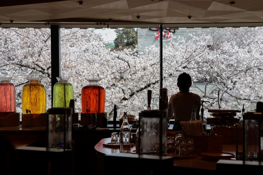 nakameguro-starbucks