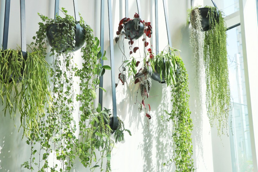 代官山kashiyama_cover