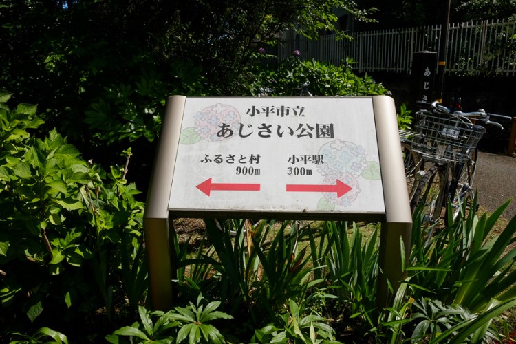 小平市立繡球花公園